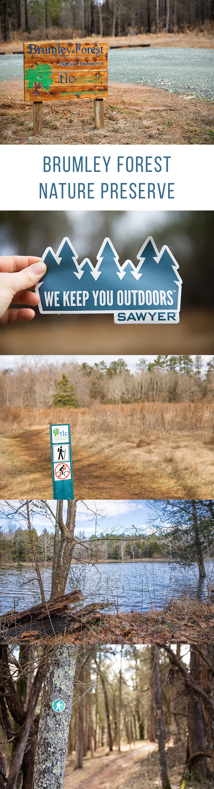 Brumley mountain bike trails best sale